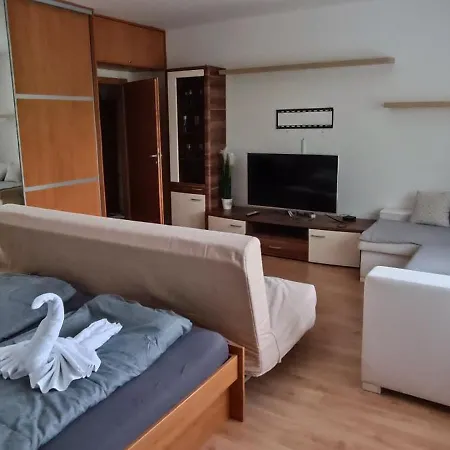 Apartment For Rent Near The Center *