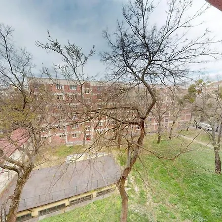 For Rent Near The Center Apartment *